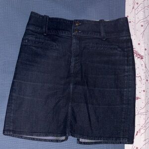 Dark Denim Rich & Skinny Skirt